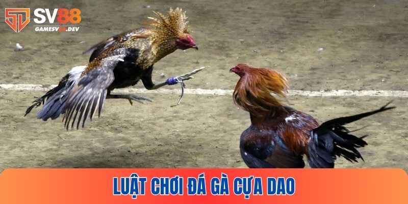 Luật chơi cơ bản của đá gà cựa dao tại SV88