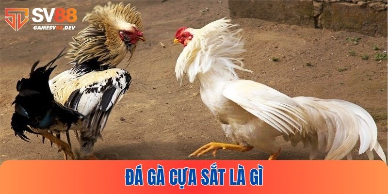 Giới thiệu khái quát đá gà cựa sắt